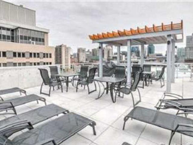 1 Bedroom Condo for Rent at 1205 Rue Mackay, Montréal, QC H3G 0C5 Quartier Ville Marie