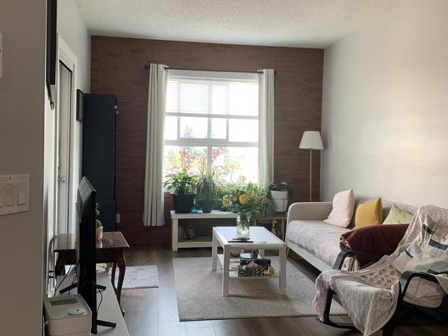 1 Bedroom Condo for Rent at 73 Erin Woods, Calgary, AB T2B 3V2