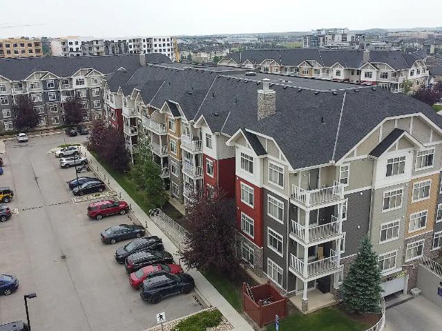 1 Bedroom Condo in Skyview