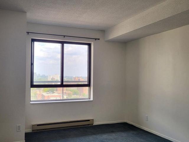 1 Bedroom Condo Walk to Ottawa University Available July