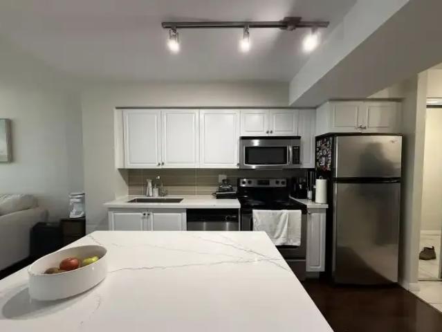 1 Bedroom Condo Toronto ON LS102306618