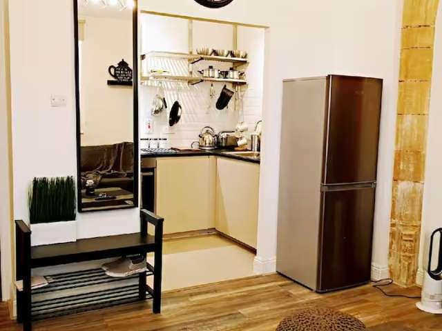 1 bedroom apt for rent in Wood Quay, Dublin
