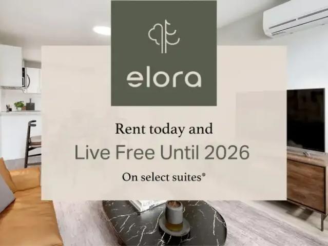 1 Bedroom Apartment Mississauga ON LS94503728