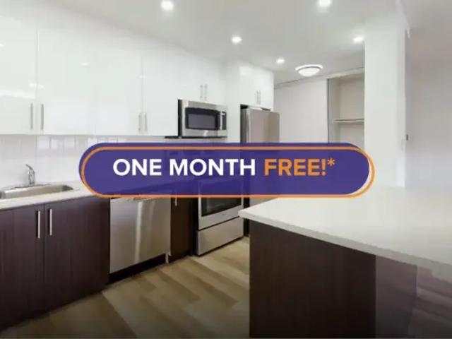 1 Bedroom Apartment Mississauga ON 101773063