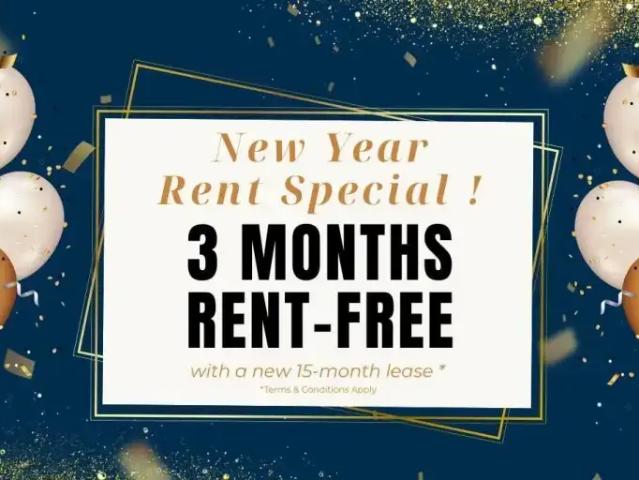 1 Bedroom Apartment Mississauga ON 98568918