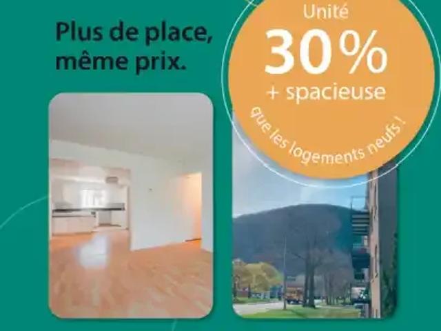 1 Bedroom Apartment Mont QC 105022729