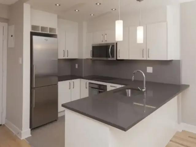 1 Bedroom Apartment Montreal QC LS99303766