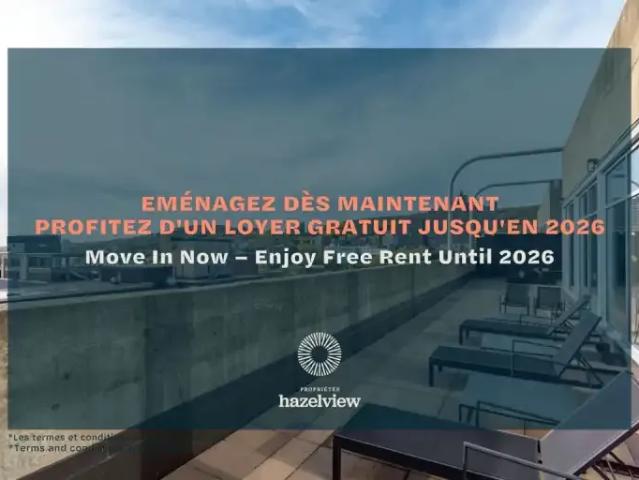 1 Bedroom Apartment Montreal QC 89356936