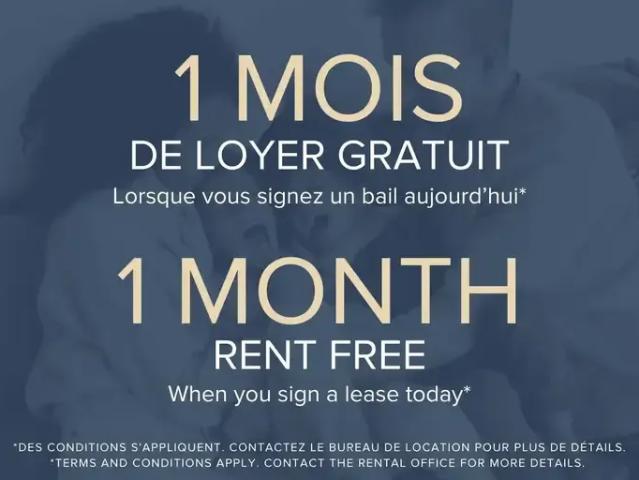1 Bedroom Apartment Montreal QC 94086991