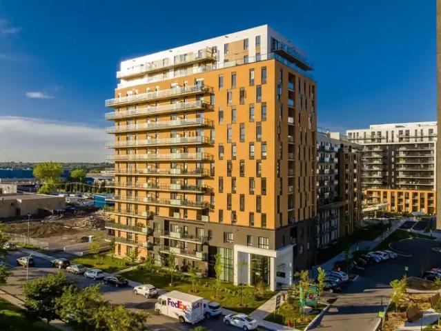 1 Bedroom Apartment Montreal QC 96586731