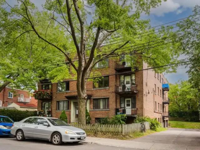 1 Bedroom Apartment Montreal QC 98186303