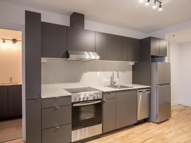 1 Bedroom Apartment Montréal QC 98313481