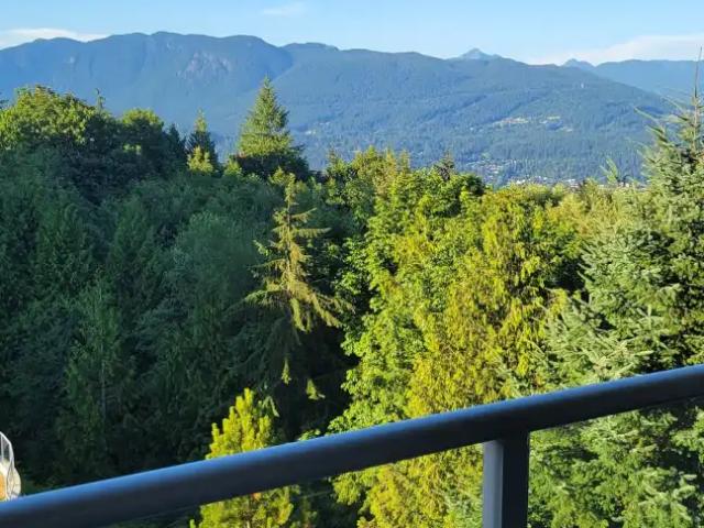 1 Bedroom apartment mountain view,avilable August 1. close to bus loop