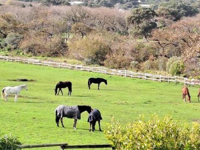 1 Bedroom Apartment Noordhoek Western Cape 103429874