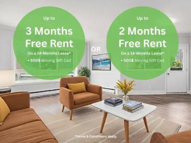 1 Bedroom Apartment Ottawa ON 101687348