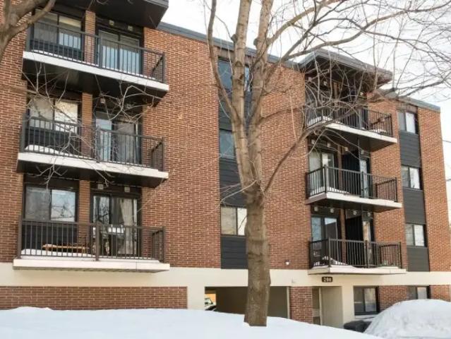 1 Bedroom Apartment Ottawa ON 102845825