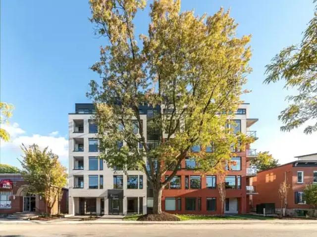 1 Bedroom Apartment Ottawa ON 103090614