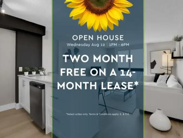 1 Bedroom Apartment Ottawa ON 105071649