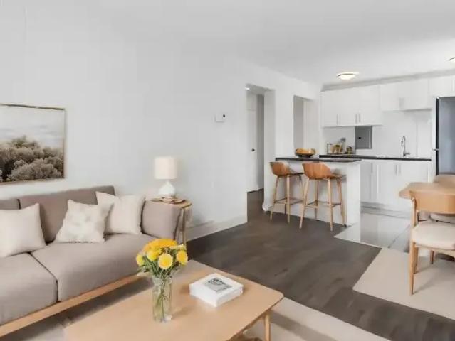 1 Bedroom Apartment Ottawa ON LS100046100