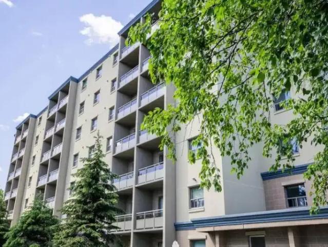 1 Bedroom Apartment Orillia ON 105087153