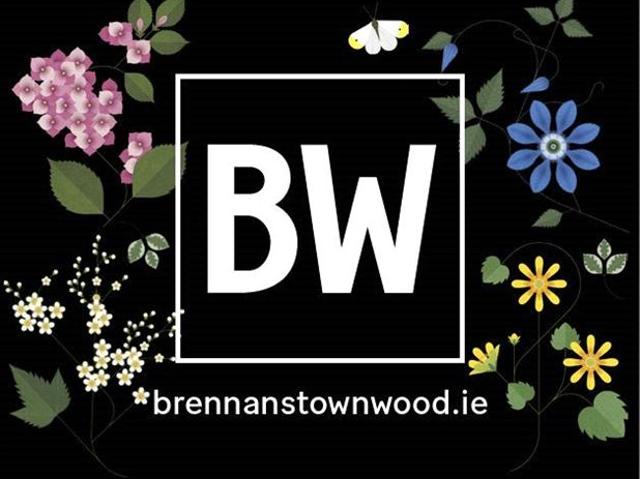 1 Bedroom Apartment,Orpen Hall,Brennanstown Wood,Dublin 18,D18 EY7Y