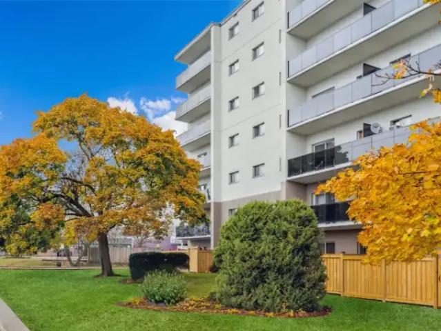 1 Bedroom Apartment Oshawa ON LS100758079