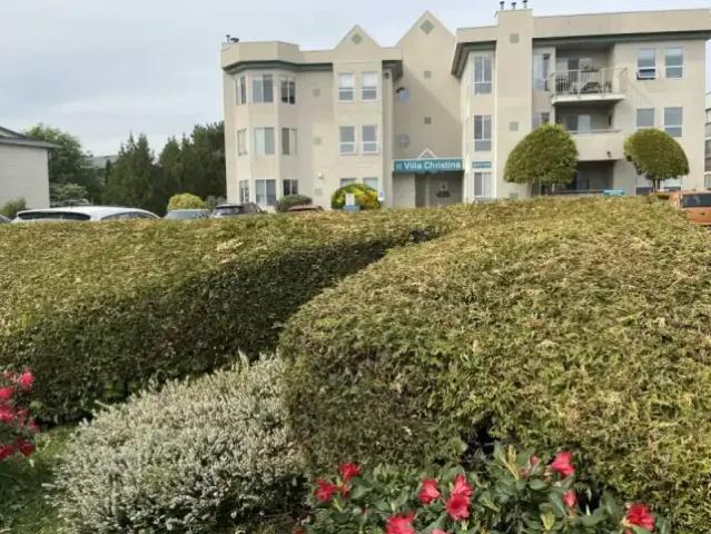 1 Bedroom Apartment Abbotsford BC 104362014