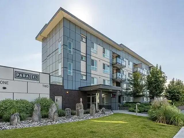 1 Bedroom Apartment Abbotsford BC 103119004
