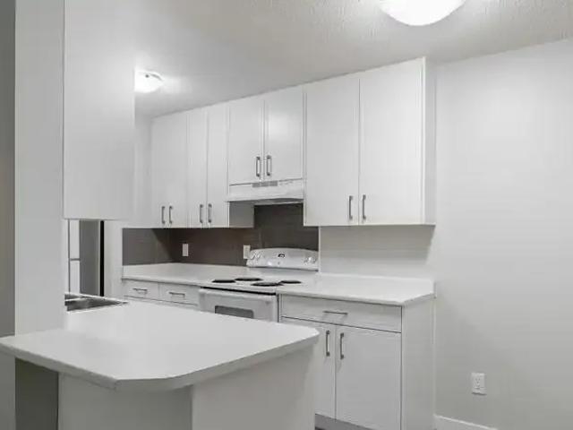 1 Bedroom Apartment Abbotsford BC LS102242552