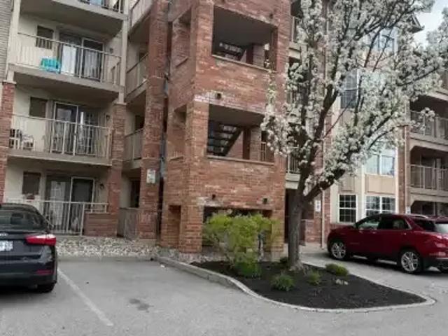 1 Bedroom Apartment Burlington ON 104292283