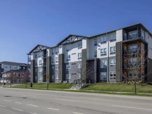 1 Bedroom Apartment Brantford ON LS101041879