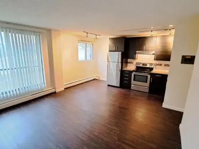 1 Bedroom Apartment Calgary AB 104179127