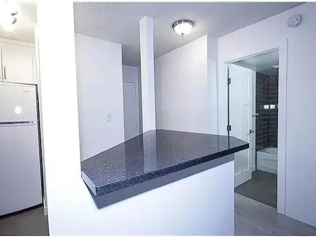 1 Bedroom Apartment Calgary AB 104179704