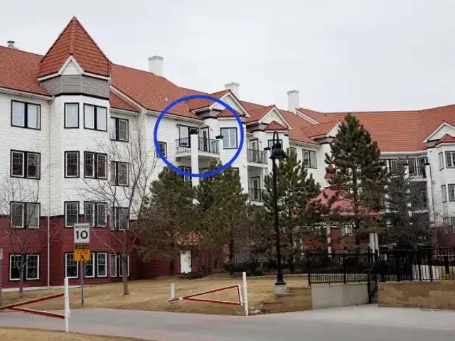 1 Bedroom Apartment Calgary AB 104322286