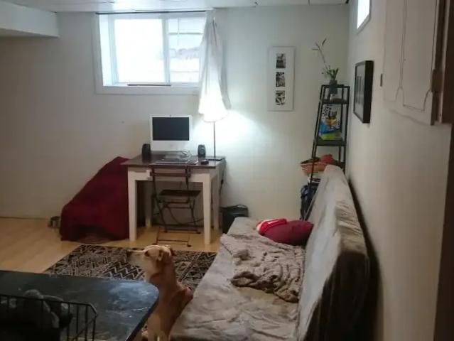 1 Bedroom Apartment Calgary AB 104362523