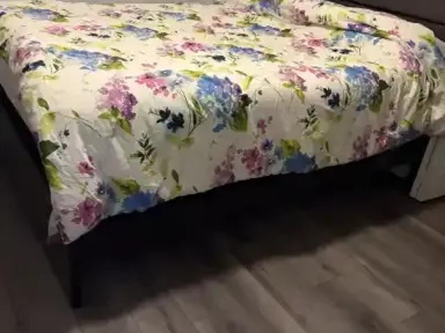 1 Bedroom Apartment Calgary AB 104362554