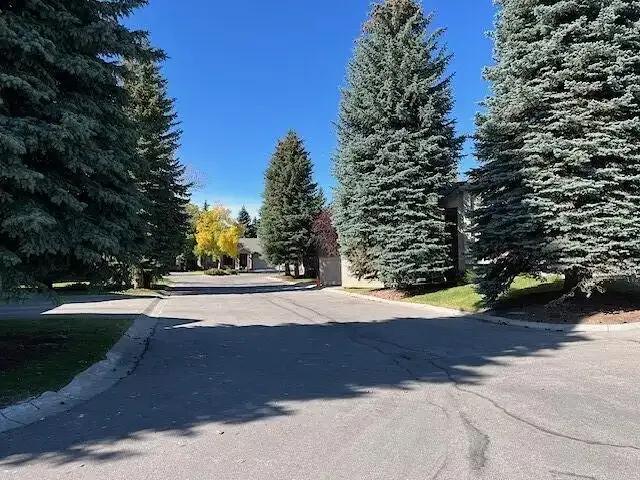 1 Bedroom Apartment Calgary AB 104470330