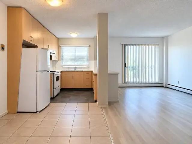 1 Bedroom Apartment Calgary AB 104470621
