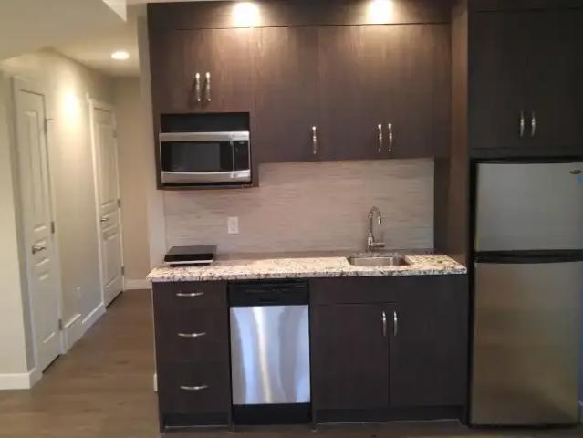 1 Bedroom Apartment Calgary AB 104506585