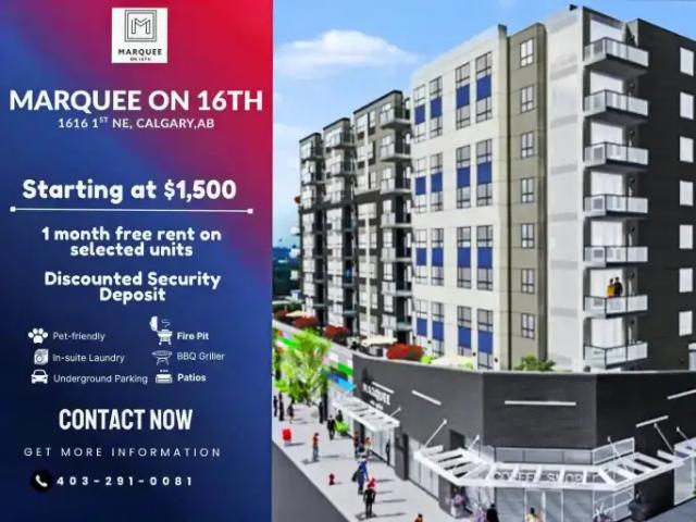 1 Bedroom Apartment Calgary AB 104535374