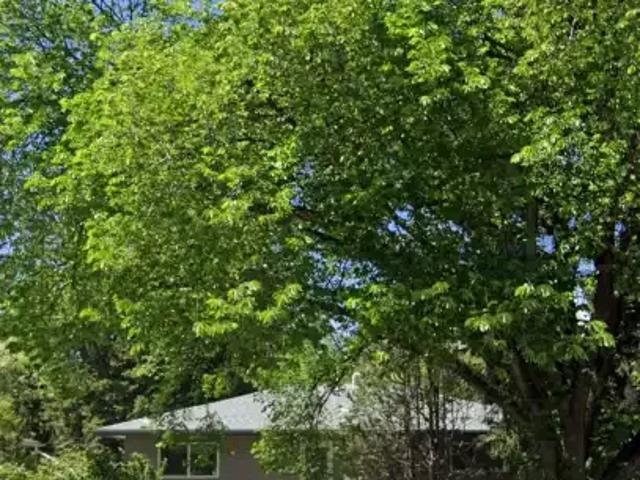 1 Bedroom Apartment Calgary AB 104535500