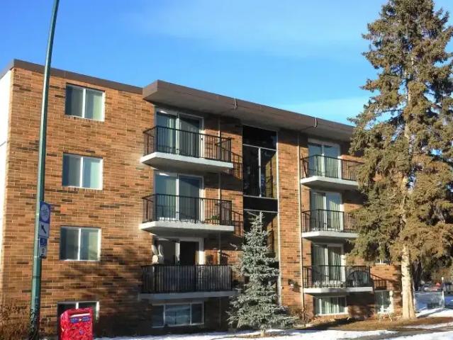 1 Bedroom Apartment Calgary AB 104841826
