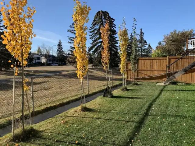 1 Bedroom Apartment Calgary AB 105088085