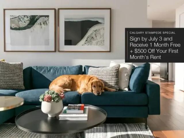 1 Bedroom Apartment Calgary AB 103215435
