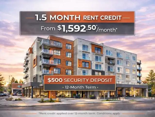 1 Bedroom Apartment Calgary AB 103487396
