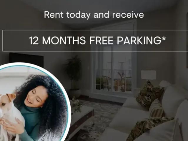 1 Bedroom Apartment Calgary AB 96961576