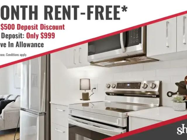 1 Bedroom Apartment Calgary AB 98568988