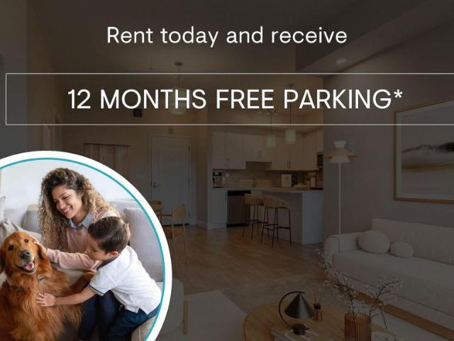1 Bedroom Apartment Calgary AB 98309493