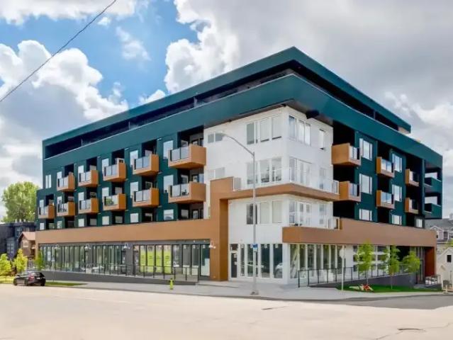1 Bedroom Apartment Calgary AB 99558110