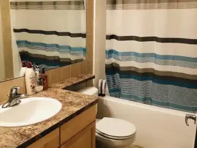 1 Bedroom Apartment Calgary AB 99907711